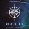 Lost Frequencies - What Is Love 2016 (Dimitri Vegas & Like Mike Remix) - Single